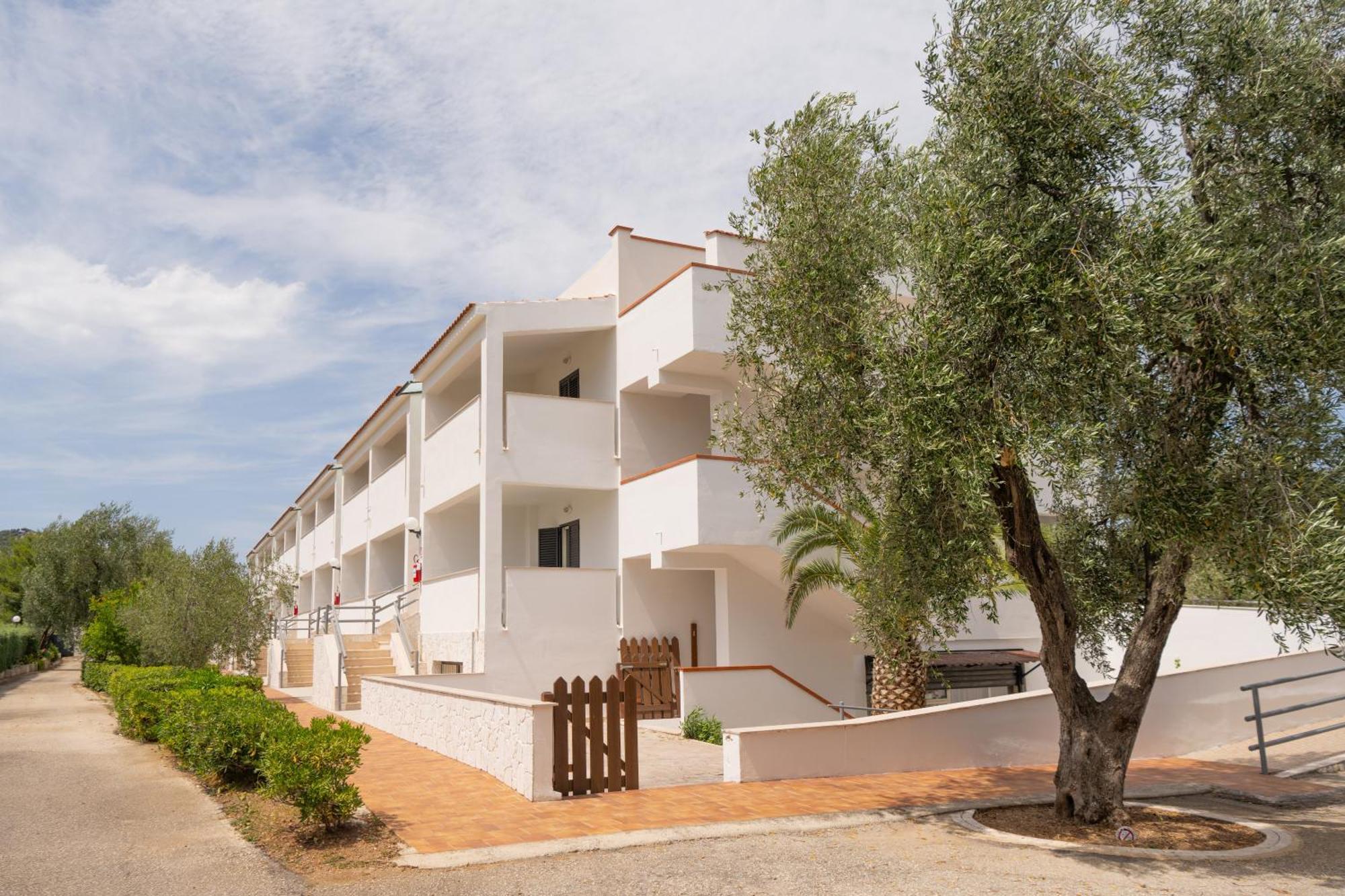Palme Gemelle 3*