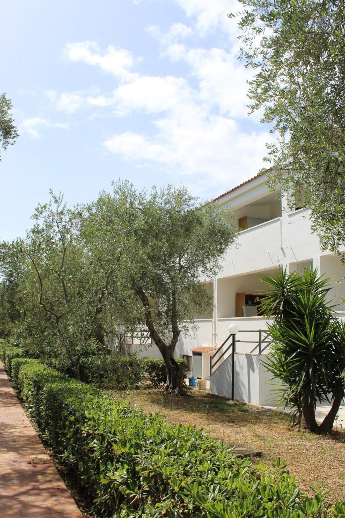 Palme Gemelle Vieste